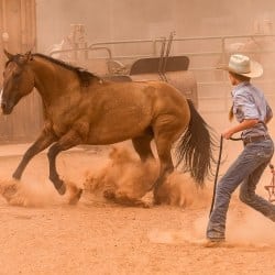 Magda, the wrangler, and Purdy